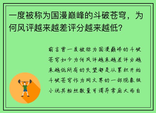 一度被称为国漫巅峰的斗破苍穹,为何风评越来越差评分越来越低?