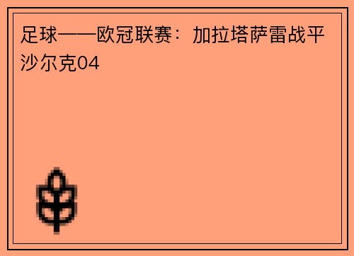 足球——欧冠联赛:加拉塔萨雷战平沙尔克04